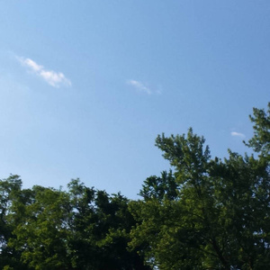 赵丽唐静少年宫小演员
